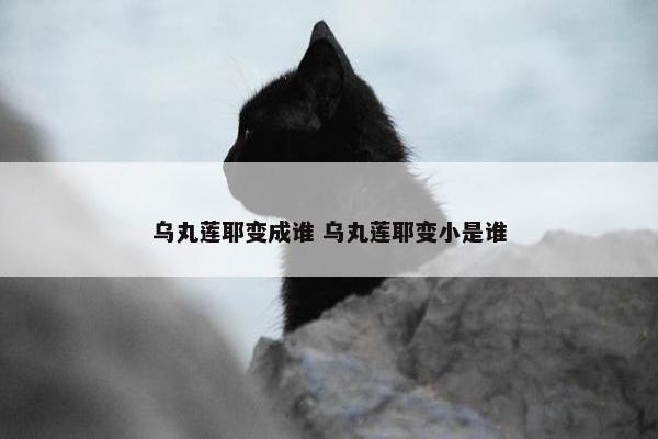 乌丸莲耶变成谁 乌丸莲耶变小是谁