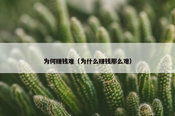 为何赚钱难（为什么赚钱那么难）