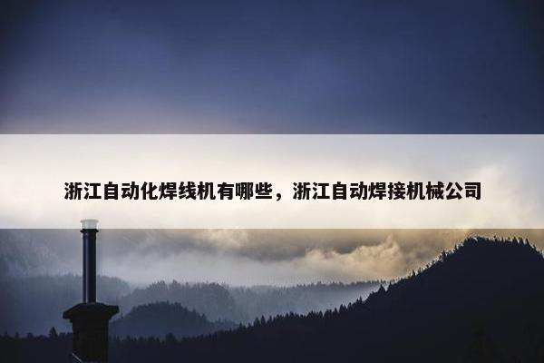 浙江自动化焊线机有哪些，浙江自动焊接机械公司