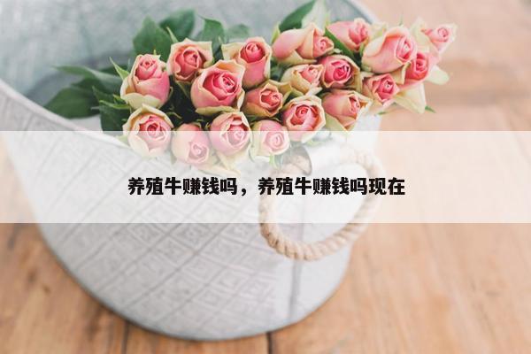 养殖牛赚钱吗，养殖牛赚钱吗现在