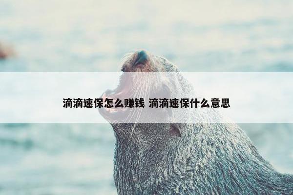 滴滴速保怎么赚钱 滴滴速保什么意思