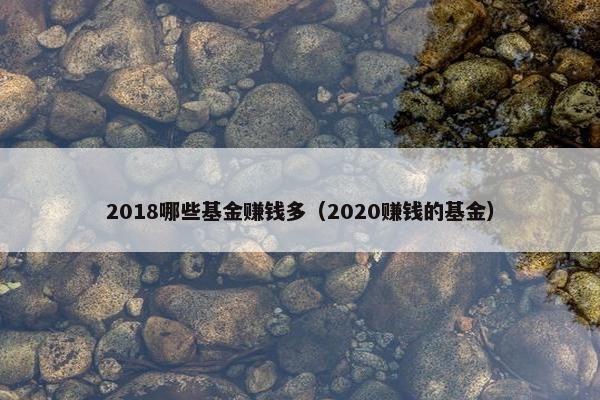 2018哪些基金赚钱多（2020赚钱的基金）