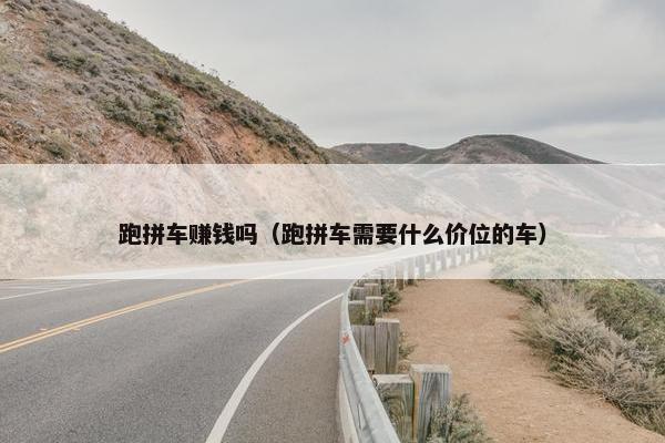 跑拼车赚钱吗（跑拼车需要什么价位的车）