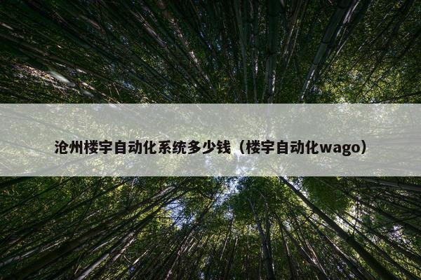 沧州楼宇自动化系统多少钱（楼宇自动化wago）