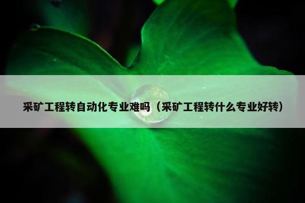 采矿工程转自动化专业难吗（采矿工程转什么专业好转）