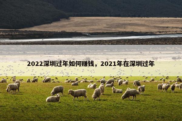 2022深圳过年如何赚钱，2021年在深圳过年