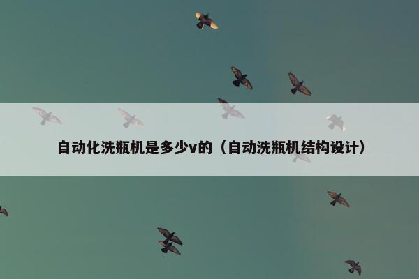 自动化洗瓶机是多少v的（自动洗瓶机结构设计）