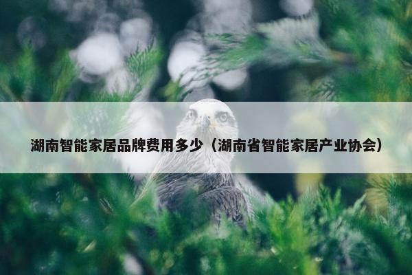 湖南智能家居品牌费用多少（湖南省智能家居产业协会）