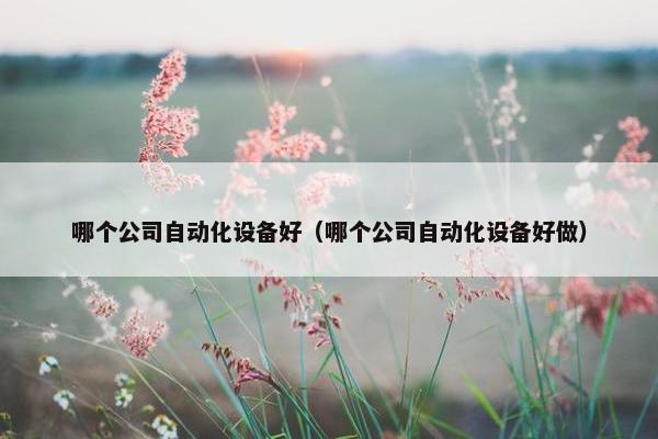 哪个公司自动化设备好（哪个公司自动化设备好做）