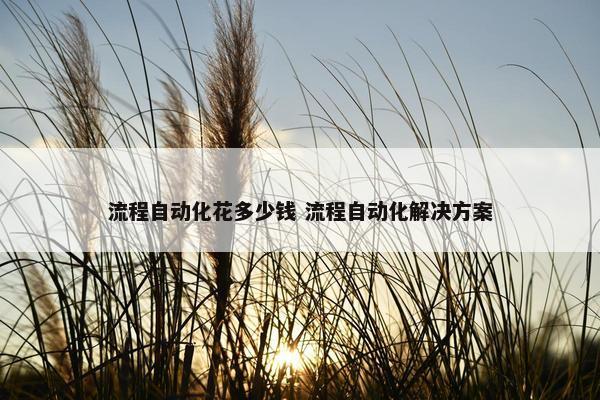 流程自动化花多少钱 流程自动化解决方案