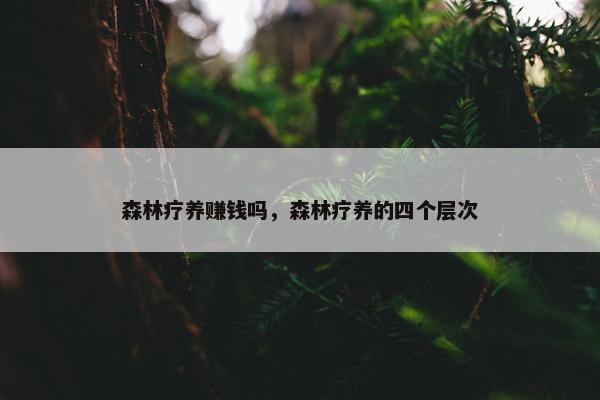 森林疗养赚钱吗，森林疗养的四个层次