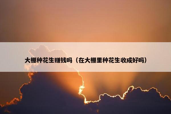 大棚种花生赚钱吗（在大棚里种花生收成好吗）