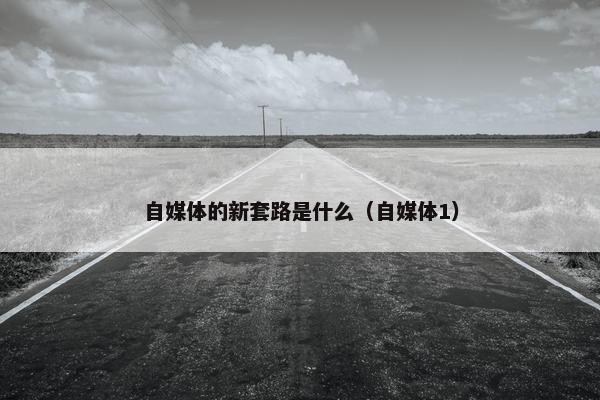 自媒体的新套路是什么（自媒体1）