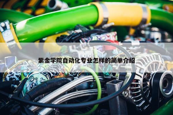 紫金学院自动化专业怎样的简单介绍