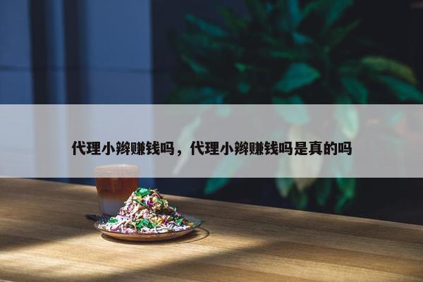 代理小辫赚钱吗，代理小辫赚钱吗是真的吗