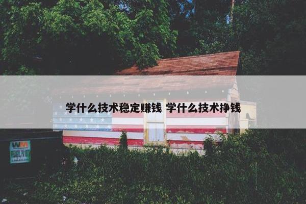 学什么技术稳定赚钱 学什么技术挣钱