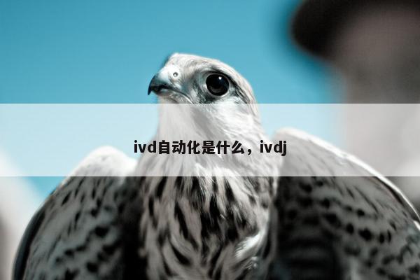 ivd自动化是什么，ivdj