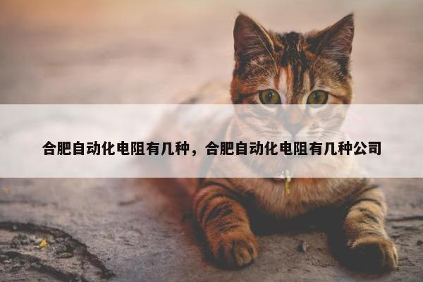 合肥自动化电阻有几种，合肥自动化电阻有几种公司