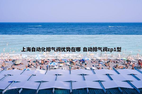 上海自动化排气阀优势在哪 自动排气阀zp1型