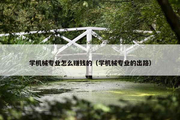 学机械专业怎么赚钱的（学机械专业的出路）