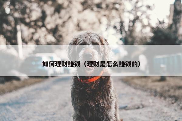 如何理财赚钱（理财是怎么赚钱的）