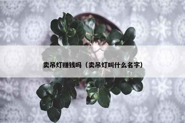 卖吊灯赚钱吗（卖吊灯叫什么名字）