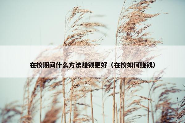 在校期间什么方法赚钱更好（在校如何赚钱）