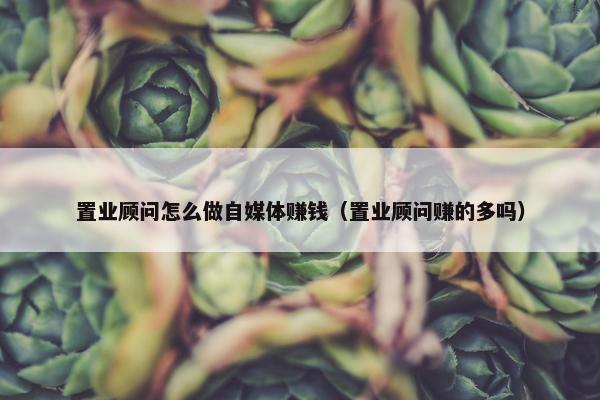 置业顾问怎么做自媒体赚钱（置业顾问赚的多吗）