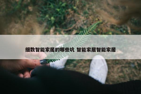 细数智能家居的哪些坑 智能家居智能家居