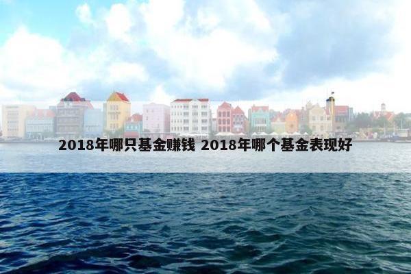 2018年哪只基金赚钱 2018年哪个基金表现好