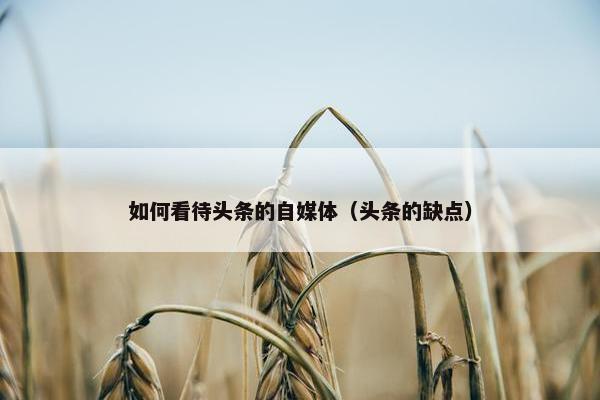 如何看待头条的自媒体（头条的缺点）