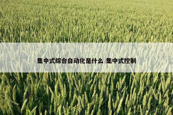 集中式综合自动化是什么 集中式控制