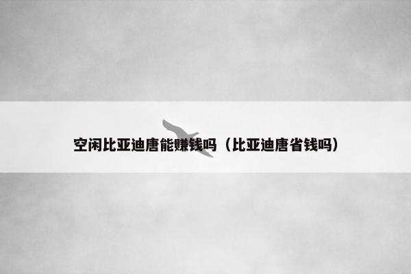 空闲比亚迪唐能赚钱吗（比亚迪唐省钱吗）