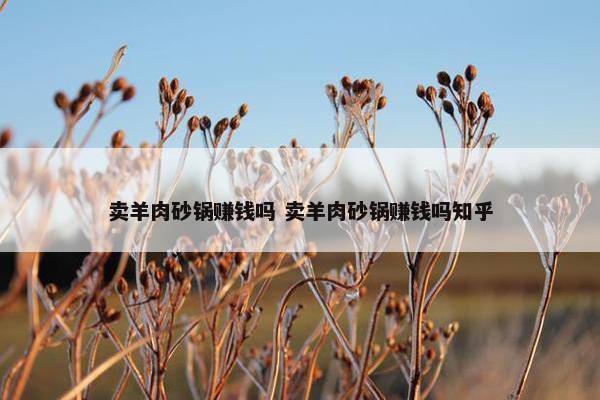 卖羊肉砂锅赚钱吗 卖羊肉砂锅赚钱吗知乎