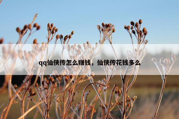 qq仙侠传怎么赚钱，仙侠传花钱多么