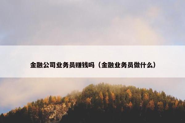 金融公司业务员赚钱吗（金融业务员做什么）