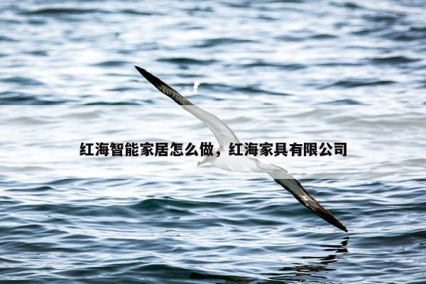 红海智能家居怎么做，红海家具有限公司