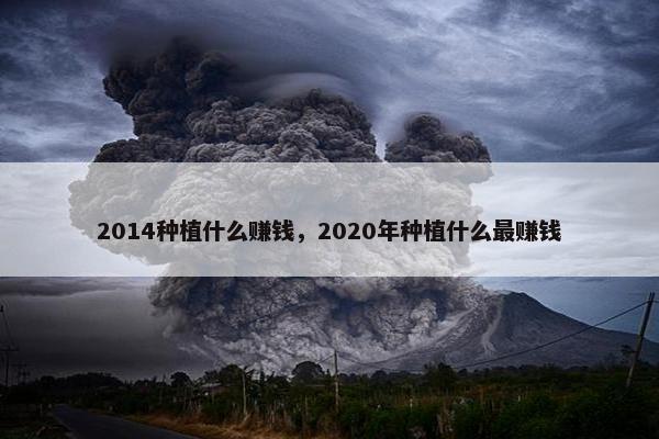 2014种植什么赚钱，2020年种植什么最赚钱