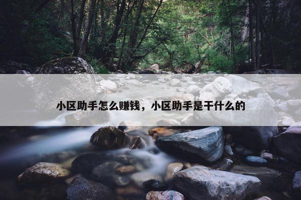 小区助手怎么赚钱，小区助手是干什么的