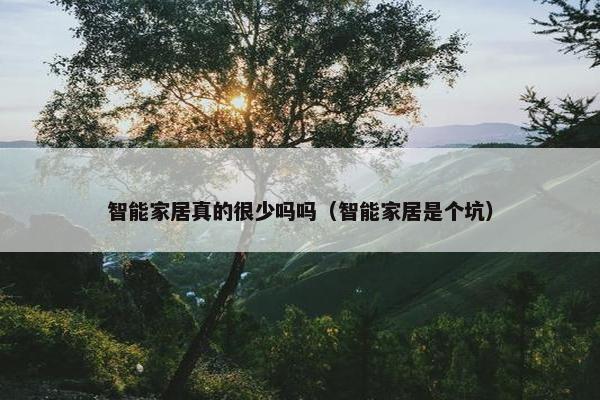 智能家居真的很少吗吗（智能家居是个坑）