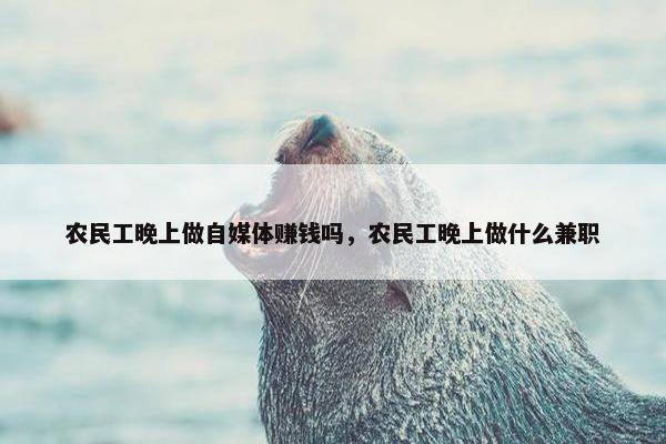 农民工晚上做自媒体赚钱吗，农民工晚上做什么兼职