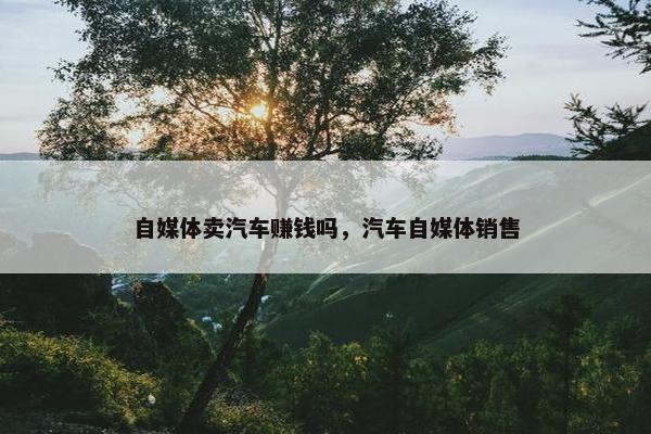 自媒体卖汽车赚钱吗，汽车自媒体销售