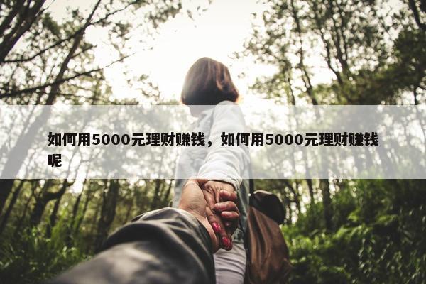 如何用5000元理财赚钱，如何用5000元理财赚钱呢