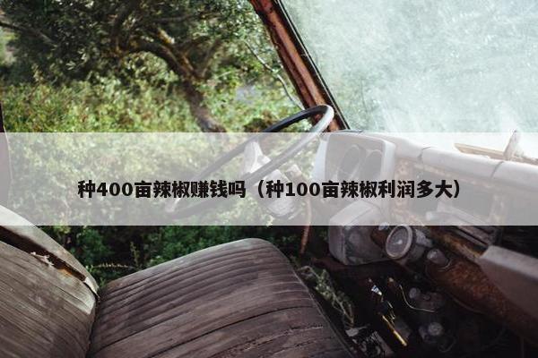 种400亩辣椒赚钱吗（种100亩辣椒利润多大）