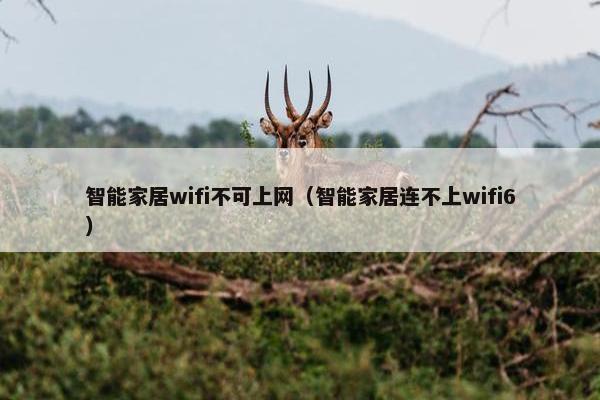 智能家居wifi不可上网（智能家居连不上wifi6）