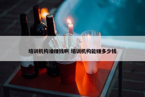 培训机构谁赚钱啊 培训机构能赚多少钱