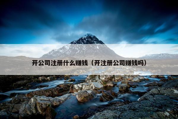 开公司注册什么赚钱（开注册公司赚钱吗）