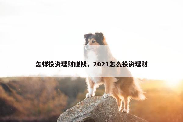 怎样投资理财赚钱，2021怎么投资理财