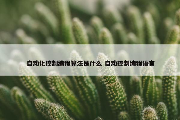 自动化控制编程算法是什么 自动控制编程语言