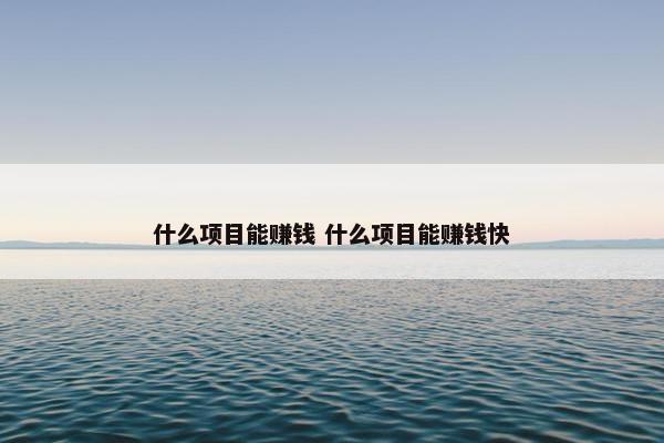 什么项目能赚钱 什么项目能赚钱快